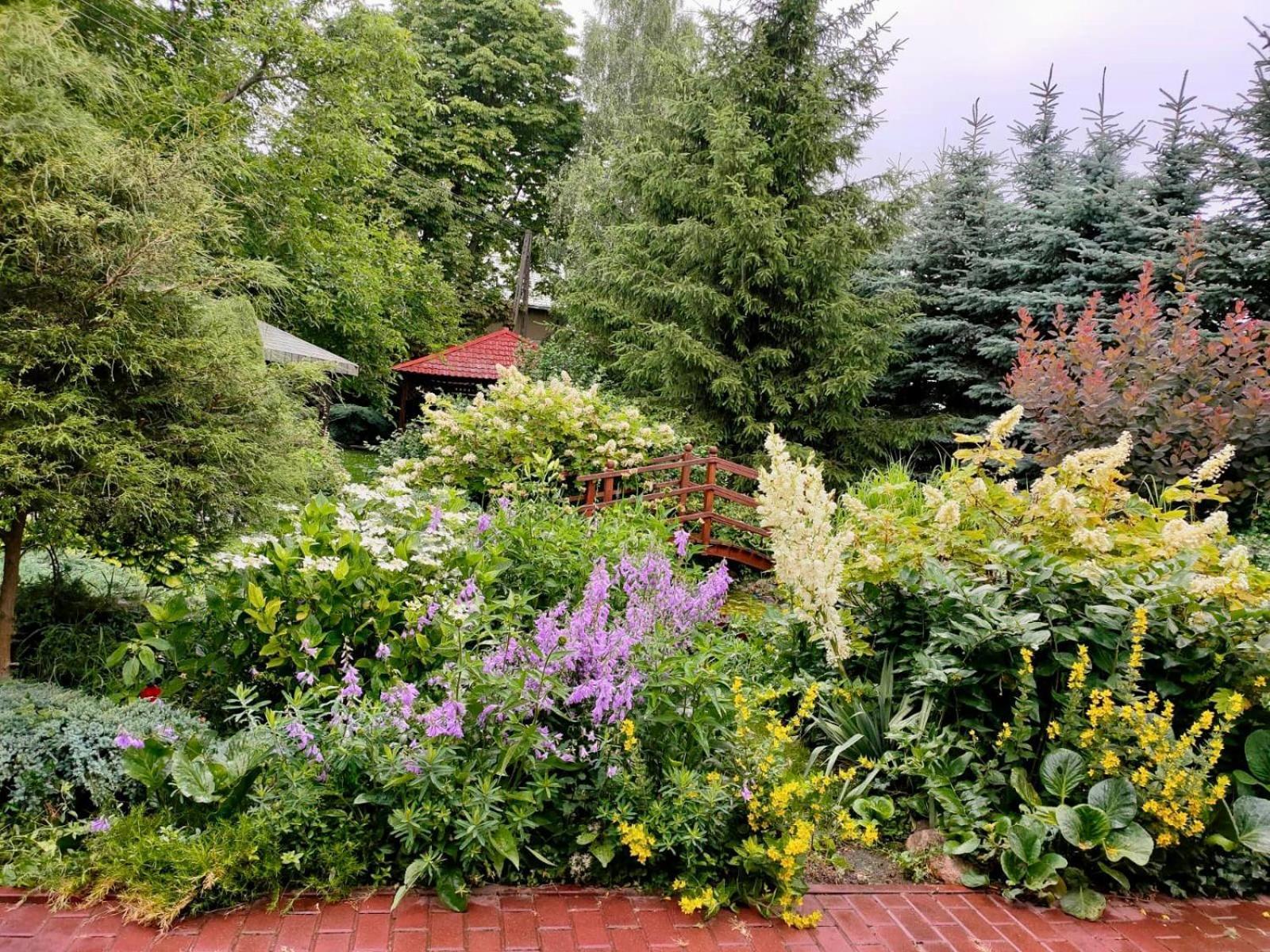 Gospodarstwo Agroturystyczne Jagoda Blonie Exterior photo