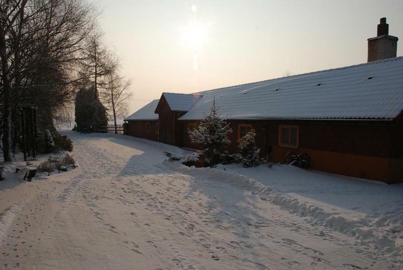 Gospodarstwo Agroturystyczne Jagoda Blonie Exterior photo